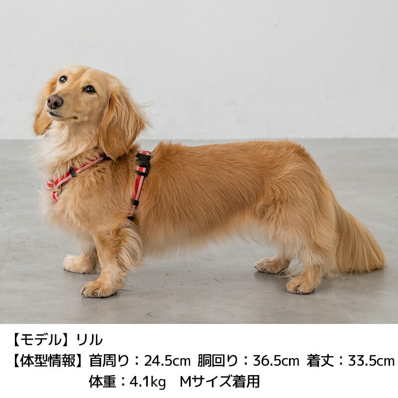 【同梱不可】 公式通販限定】ラインハーネス S/M/L 犬用 Solgra-ソルグラ- パーツ