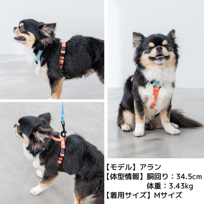 ビビットバイカラーリード S/M/L Solgra-ソルグラ- 犬用リード SO25SS so259600
