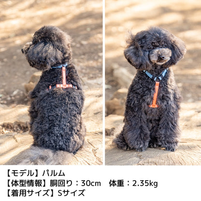 ビビットバイカラーリード S/M/L Solgra-ソルグラ- 犬用リード SO25SS so259600