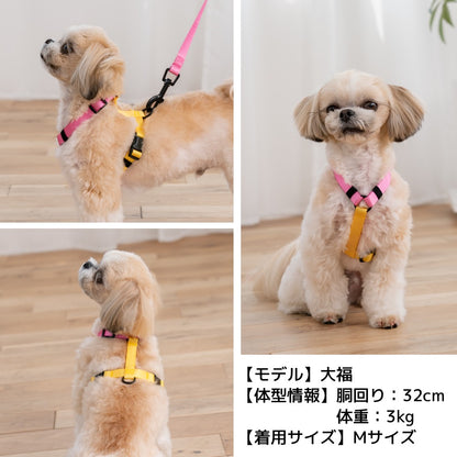 ビビットバイカラーリード S/M/L Solgra-ソルグラ- 犬用リード SO25SS so259600