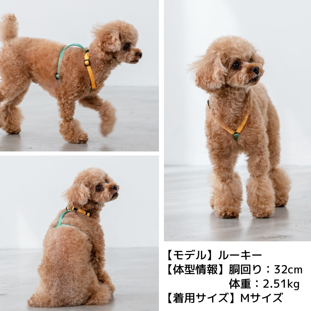 ビビットバイカラーリード S/M/L Solgra-ソルグラ- 犬用リード SO25SS so259600