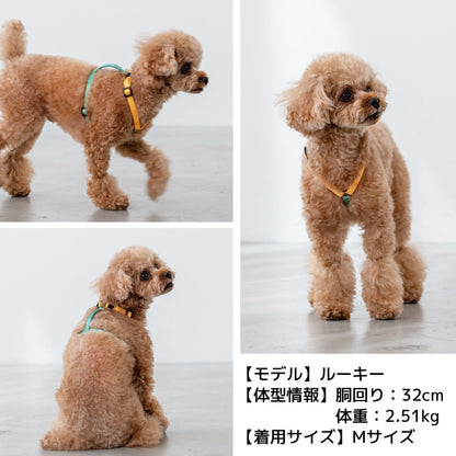ビビットバイカラーリード S/M/L Solgra-ソルグラ- 犬用リード SO25SS so259600