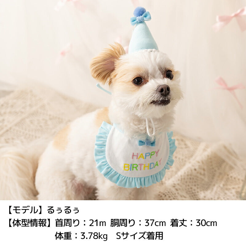 【公式通販限定】バースデーフリルスタイ S/M/L Solgra-ソルグラ- 犬用 誕生日 SO25SS so252608