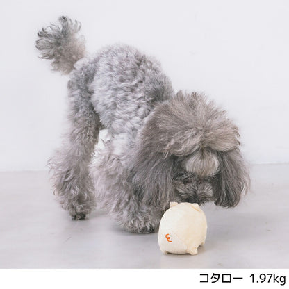 ブタさん蚊取り線香おもちゃ F SOLGRA -ソルグラ- 犬用 SO25SS so255619