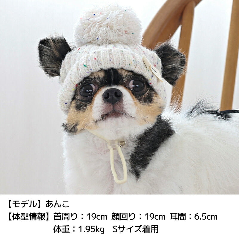 ネップニット帽 S/SM/M/L/XL Solgra-ソルグラ- 犬用 帽子 SO25AW so252620