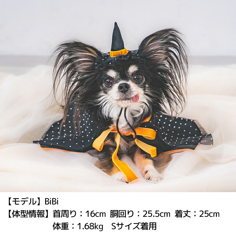 【公式通販限定】帽子付き魔女マント S/M/L SOLGRA -ソルグラ- 犬用 コスプレ ハロウィン SO25AW so252632