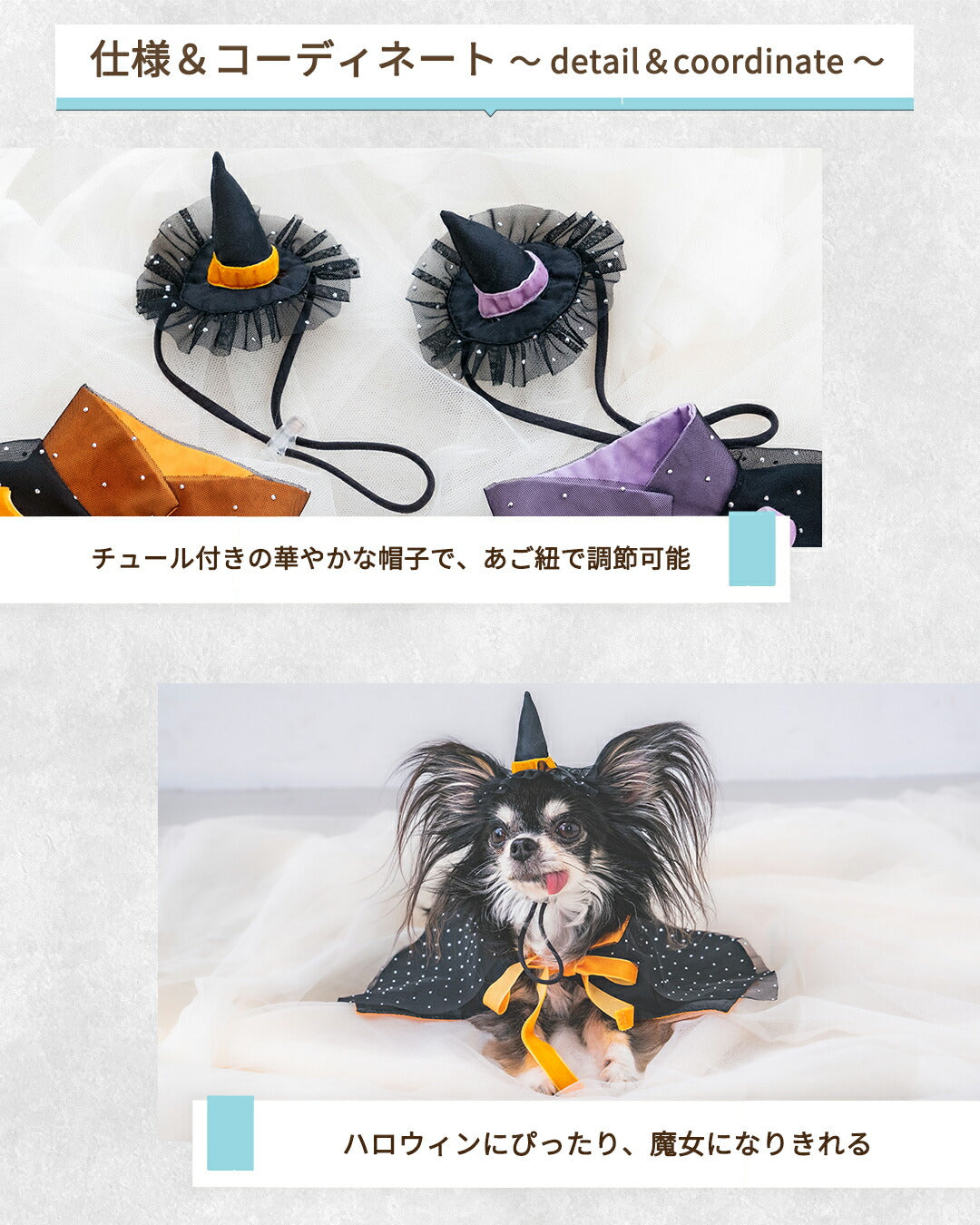 【公式通販限定】帽子付き魔女マント S/M/L SOLGRA -ソルグラ- 犬用 コスプレ ハロウィン SO25AW so252632
