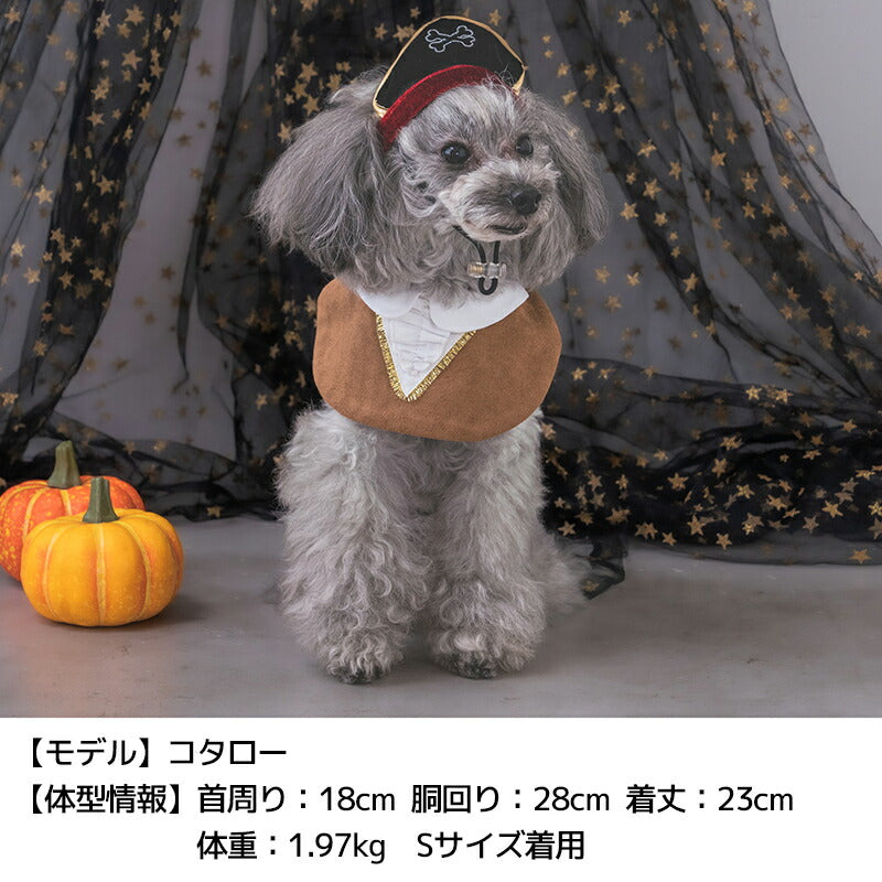 【公式通販限定】なりきり海賊マント S/M/L SOLGRA -ソルグラ- 犬用 コスプレ ハロウィン SO25AW so252633