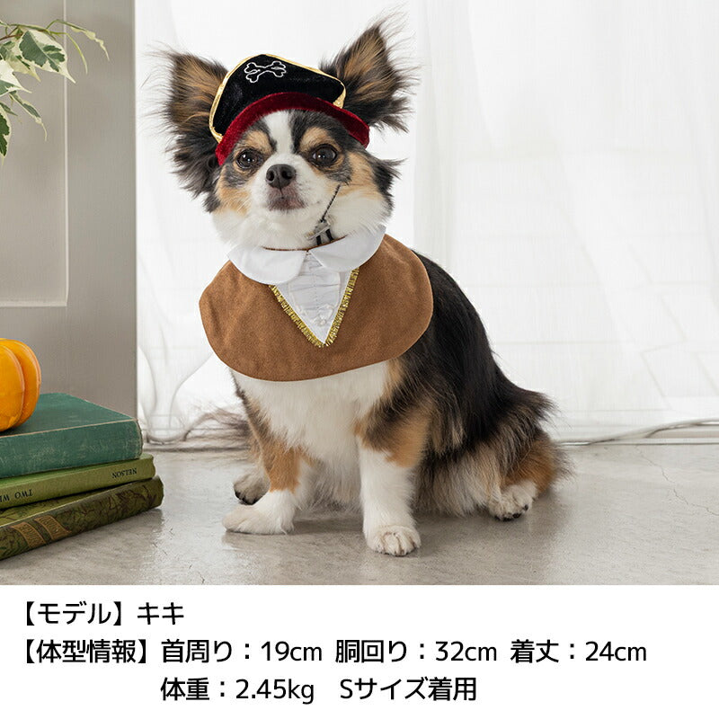 【公式通販限定】なりきり海賊マント S/M/L SOLGRA -ソルグラ- 犬用 コスプレ ハロウィン SO25AW so252633