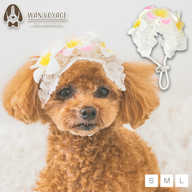 プルメリアヘアバンド S/M/L SOLGRA -ソルグラ- 犬用 アクセサリー SO25SS so252638