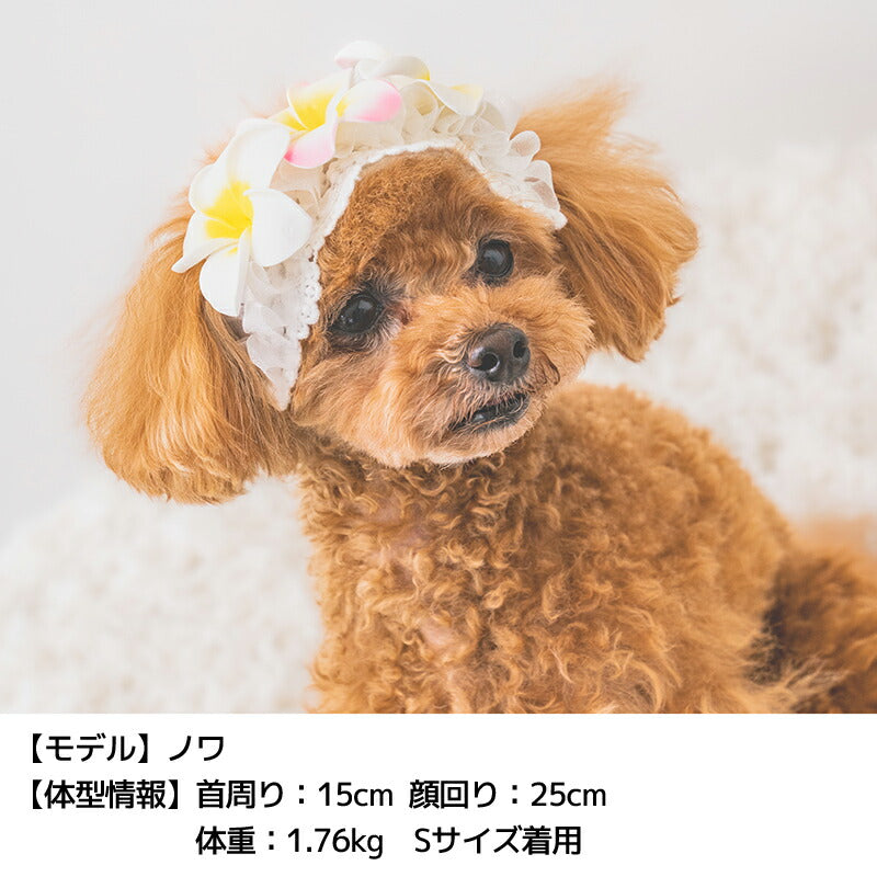 プルメリアヘアバンド S/M/L SOLGRA -ソルグラ- 犬用 アクセサリー SO25SS so252638