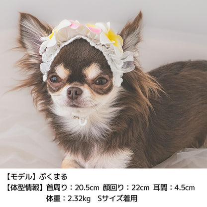 プルメリアヘアバンド S/M/L SOLGRA -ソルグラ- 犬用 アクセサリー SO25SS so252638
