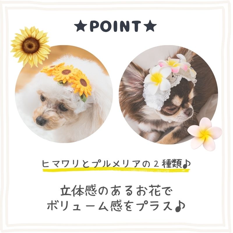 ひまわりヘアバンド S/M/L SOLGRA -ソルグラ- 犬用 アクセサリー SO25SS so252639