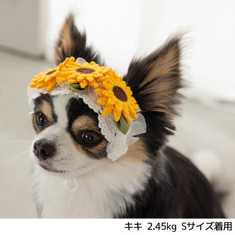 ひまわりヘアバンド S/M/L SOLGRA -ソルグラ- 犬用 アクセサリー SO25SS so252639