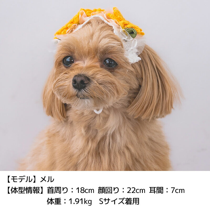 イヌヌワン ナチュラルドライブベッド F Solgra-ソルグラ- 犬用ベッド