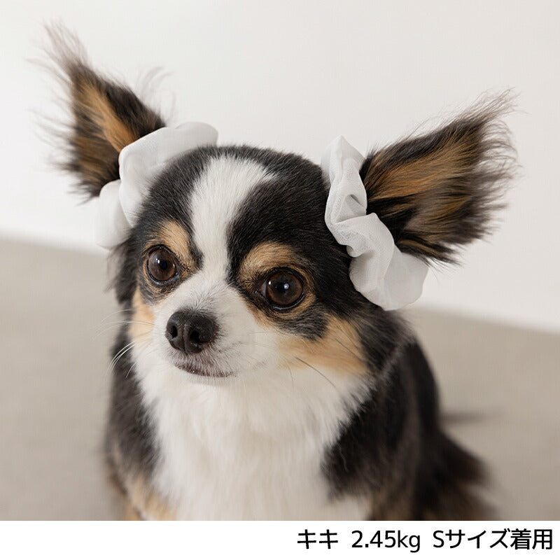 シフォンシュシュ S/M SOLGRA -ソルグラ- 犬用 アクセサリー SO25SS so252643