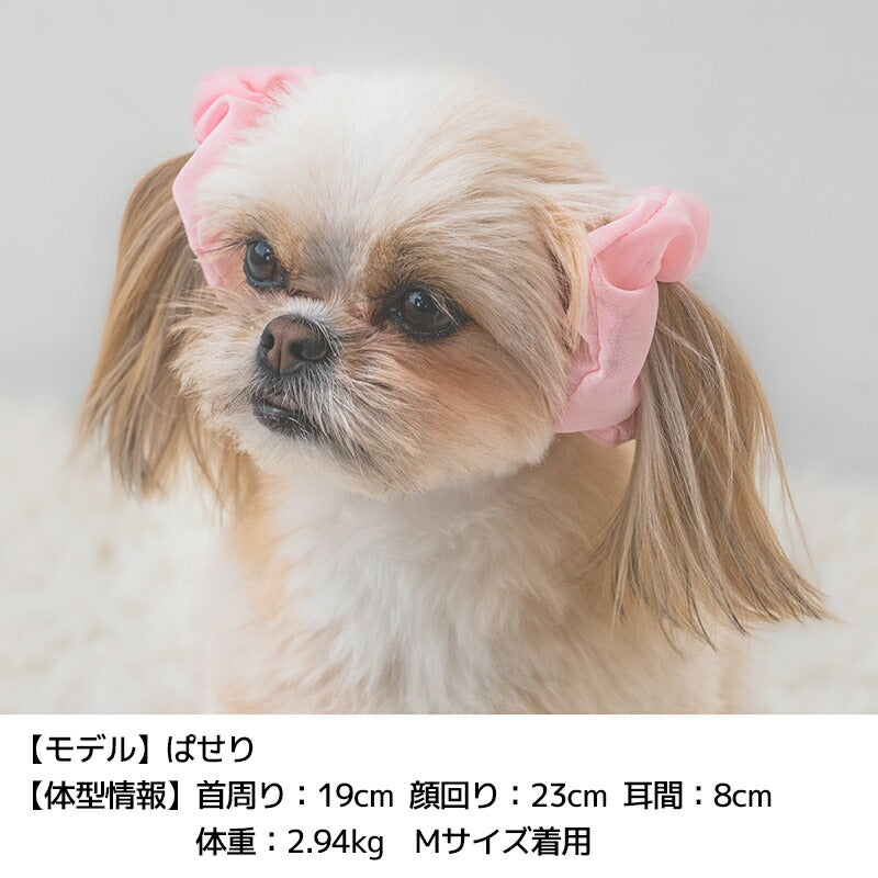 シフォンシュシュ S/M SOLGRA -ソルグラ- 犬用 アクセサリー SO25SS so252643