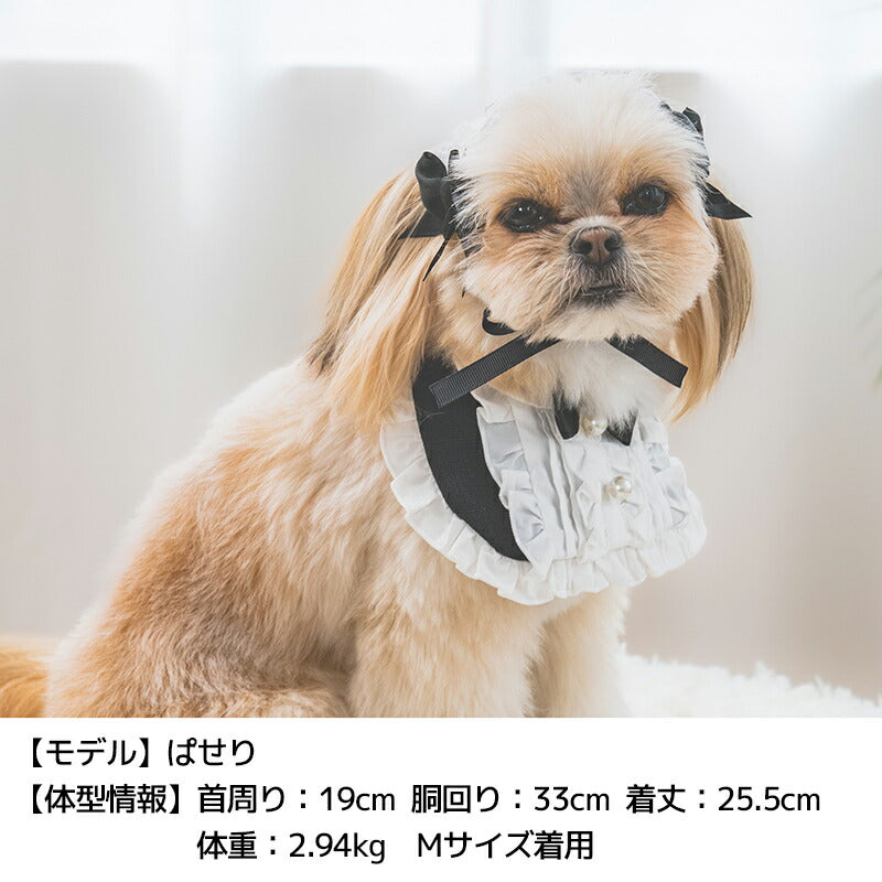 【公式通販限定】なりきりメイドスタイ S/M/L SOLGRA -ソルグラ- 犬用 コスプレ ハロウィン SO25AW so252657