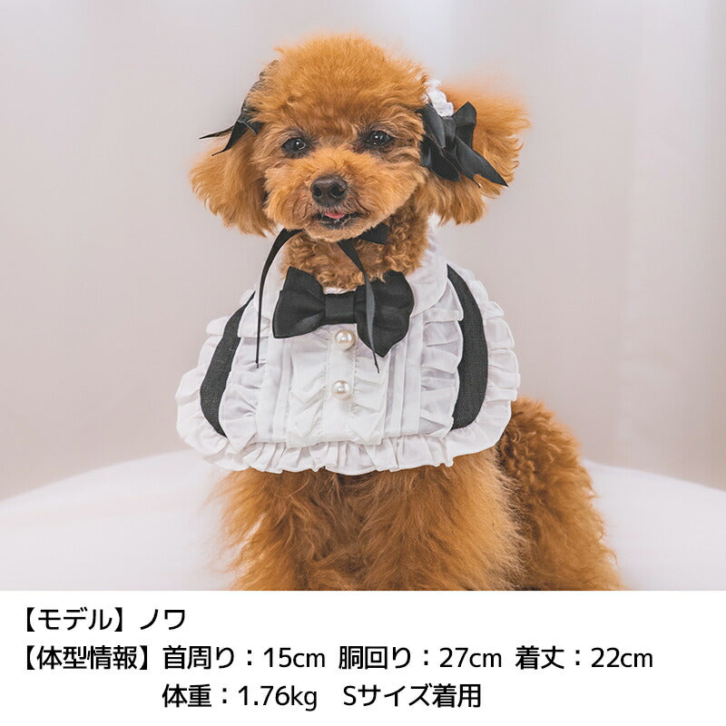 【公式通販限定】なりきりメイドスタイ S/M/L SOLGRA -ソルグラ- 犬用 コスプレ ハロウィン SO25AW so252657