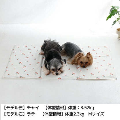 ジェルマット S/M Solgra-ソルグラ- 犬用 SO26SS so267664