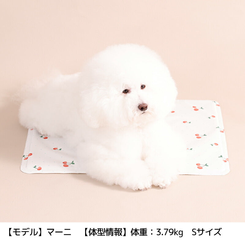 ジェルマット S/M Solgra-ソルグラ- 犬用 SO26SS so267664