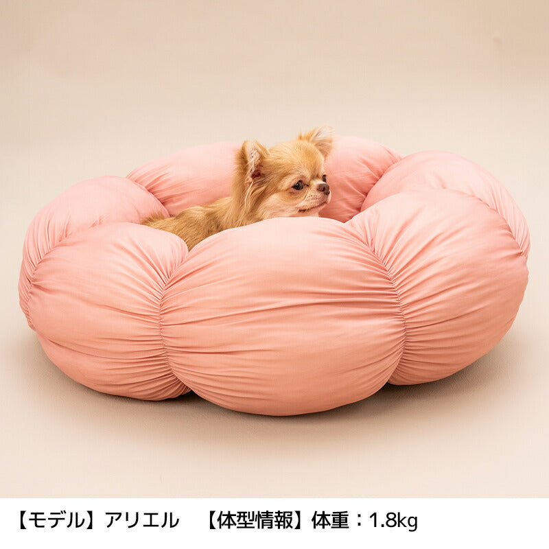花型ベッド Free Solgra-ソルグラ- 犬用 SO26SS so267675
