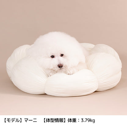 花型ベッド Free Solgra-ソルグラ- 犬用 SO26SS so267675