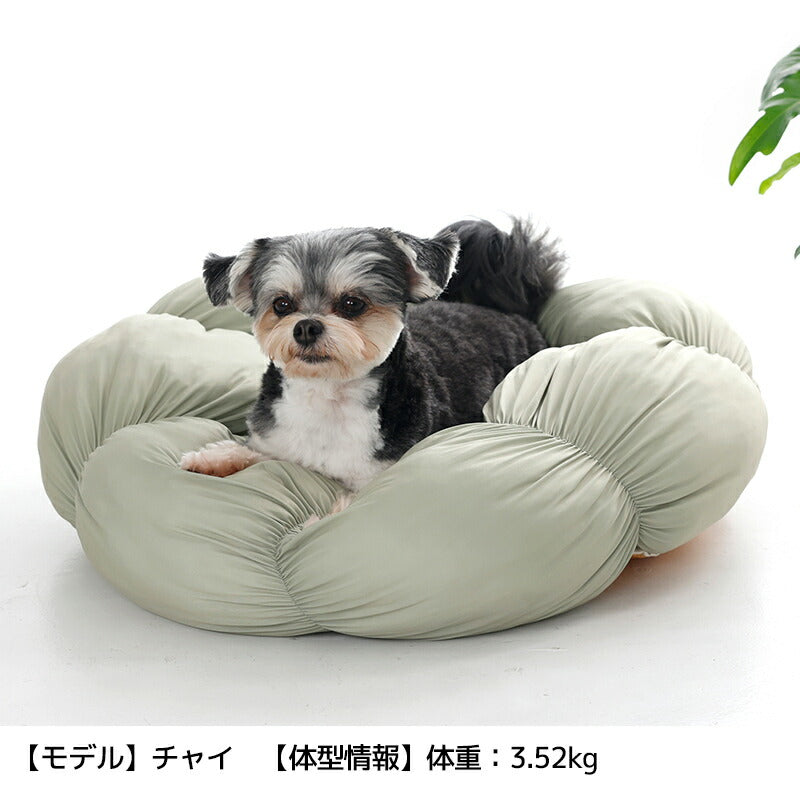 花型ベッド Free Solgra-ソルグラ- 犬用 SO26SS so267675