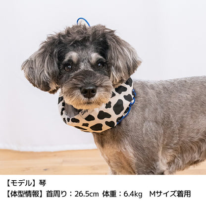 フリルクールネック S/M/L Solgra-ソルグラ- 犬用 SO26SS so262679