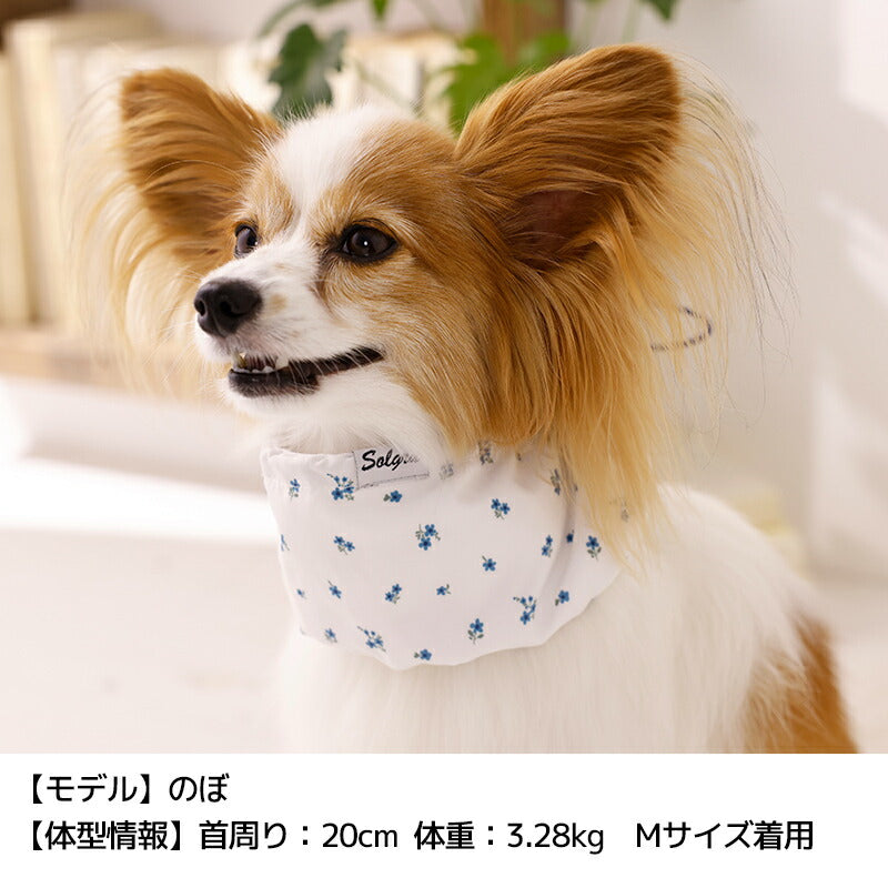 フリルクールネック S/M/L Solgra-ソルグラ- 犬用 SO26SS so262679