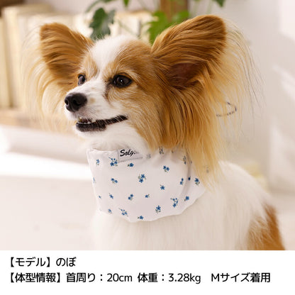 フリルクールネック S/M/L Solgra-ソルグラ- 犬用 SO26SS so262679
