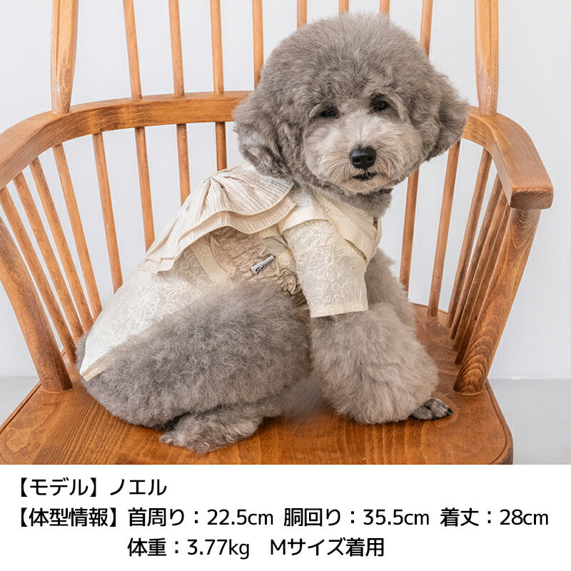 レース浴衣 S/M/L/XL/XXL Solgra-ソルグラ- 犬服 ドッグウェア SO26SS so261683