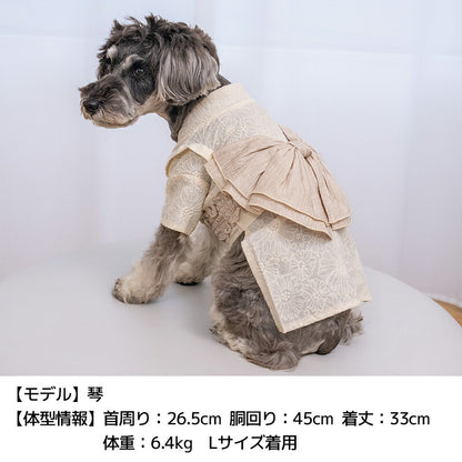 レース浴衣 S/M/L/XL/XXL Solgra-ソルグラ- 犬服 ドッグウェア SO26SS so261683