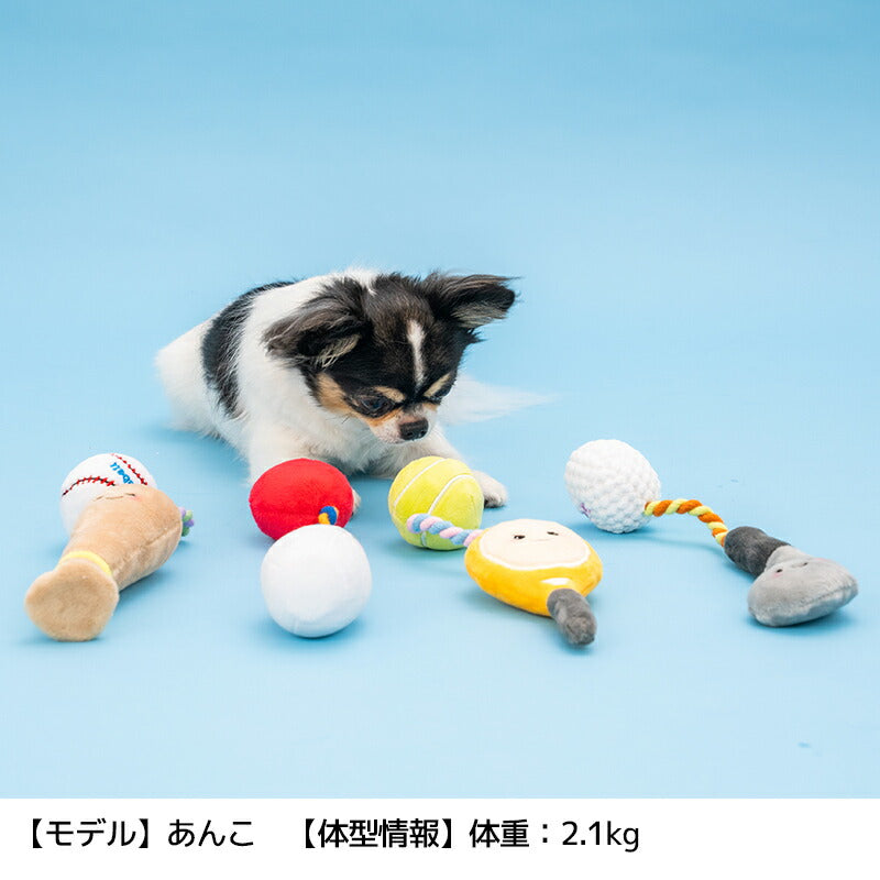 スポーツおもちゃ Free Solgra-ソルグラ- 犬用 SO26SS so265701