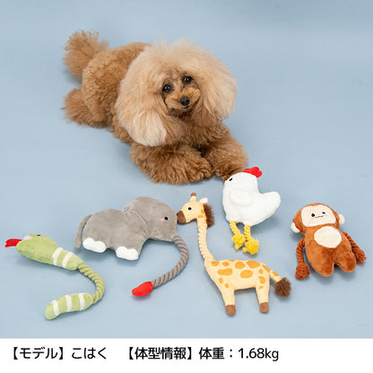 アニマルロープトイ Free Solgra-ソルグラ- 犬用 SO26AW so265721