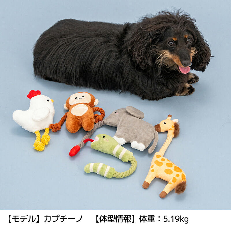 アニマルロープトイ Free Solgra-ソルグラ- 犬用 SO26AW so265721