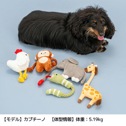 アニマルロープトイ Free Solgra-ソルグラ- 犬用 SO26AW so265721