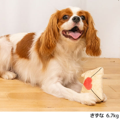 【公式通販限定】ラブレターおもちゃ Free SOLGRA -ソルグラ- 犬用 バレンタイン SO26SS so265733