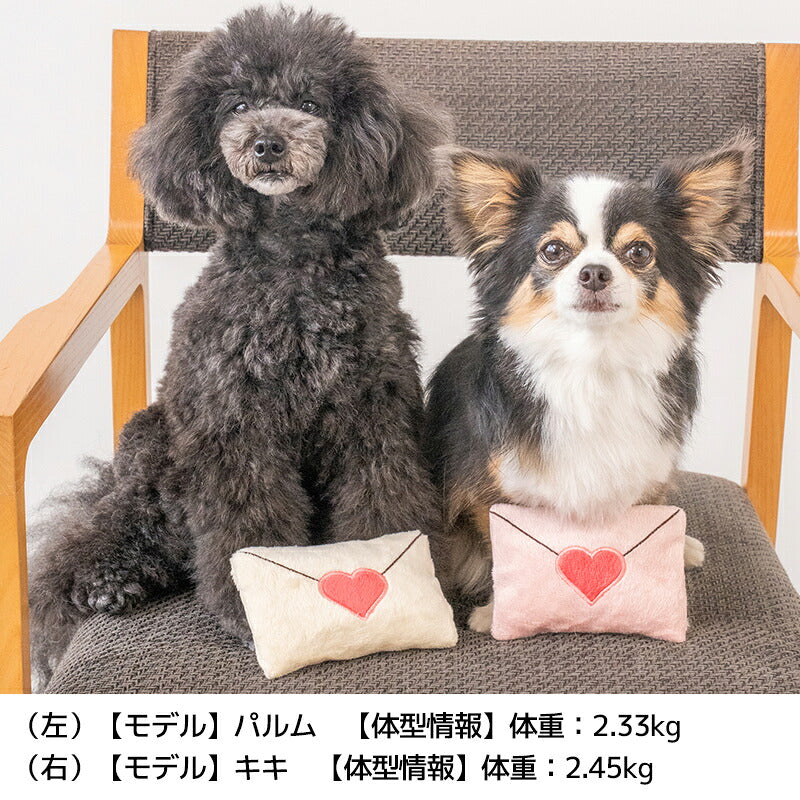 【公式通販限定】ラブレターおもちゃ Free SOLGRA -ソルグラ- 犬用 バレンタイン SO26SS so265733
