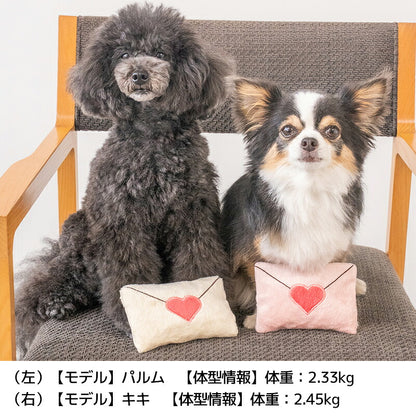 【公式通販限定】ラブレターおもちゃ Free SOLGRA -ソルグラ- 犬用 バレンタイン SO26SS so265733