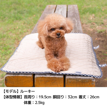 【公式通販限定】シンプルカフェマット F SOLGRA -ソルグラ- 犬用 SO26SS so267736