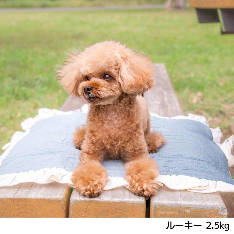 【公式通販限定】花柄カフェマット F SOLGRA -ソルグラ- 犬用 SO26SS so267737