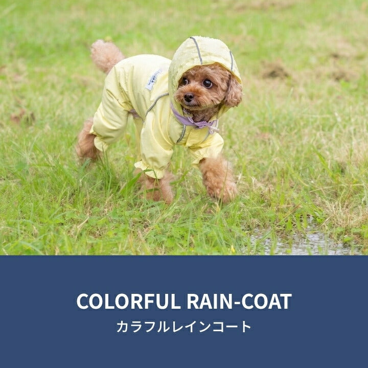 カラフルレインコート S/M/L/XL/XXL/DXS/DS/DM SOLGRA -ソルグラ- 犬服