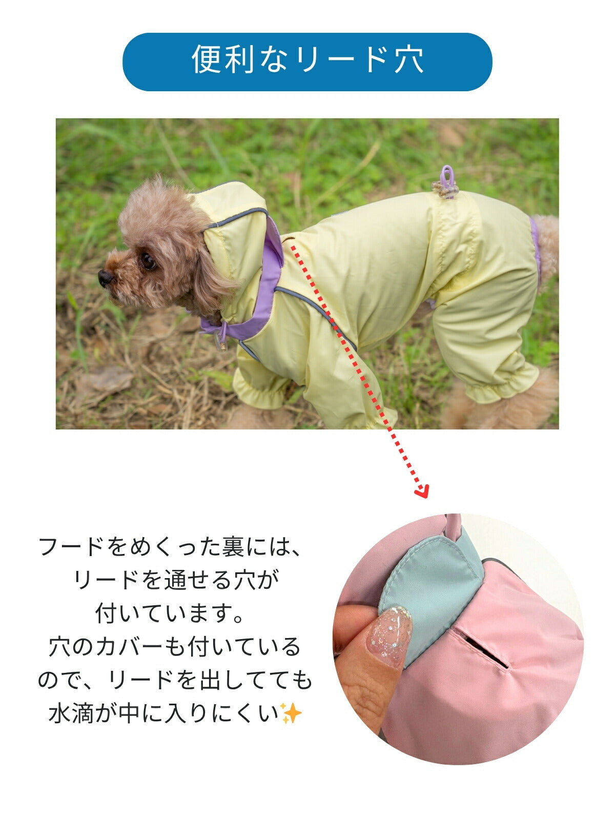 カラフルレインコート S/M/L/XL/XXL/DXS/DS/DM SOLGRA -ソルグラ- 犬服 ドッグウェア レインウェア 雨具 SO26SS so261738