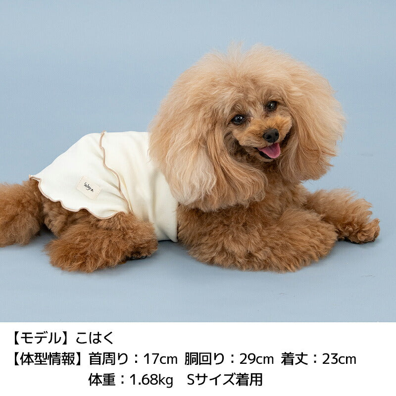 ストレッチ腹巻 S/M/L Solgra-ソルグラ- 犬用 SO26AW so262739