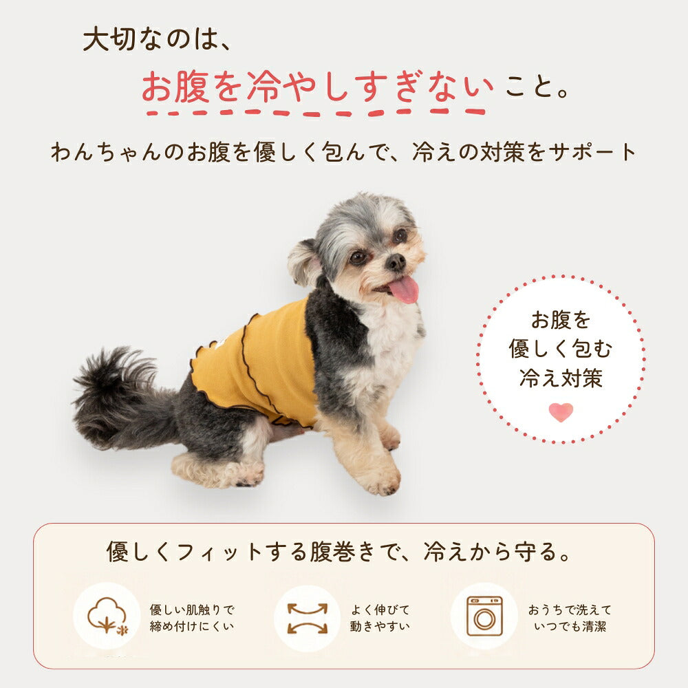 ストレッチ腹巻 S/M/L Solgra-ソルグラ- 犬用 SO26AW so262739