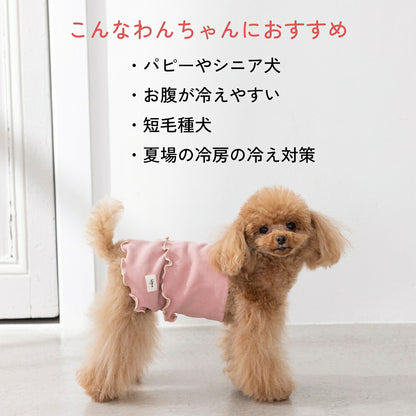 ストレッチ腹巻 S/M/L Solgra-ソルグラ- 犬用 SO26AW so262739