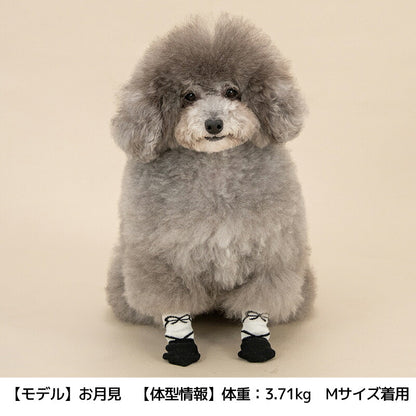 【2026年】滑り止め靴下 S/M/L Solgra-ソルグラ- 犬用 SO26AW so262753
