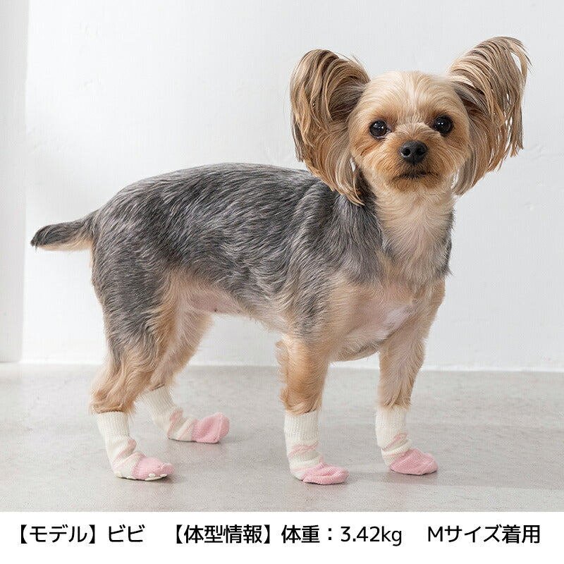 【2026年】滑り止め靴下 S/M/L Solgra-ソルグラ- 犬用 SO26AW so262753