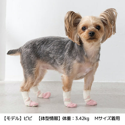 【2026年】滑り止め靴下 S/M/L Solgra-ソルグラ- 犬用 SO26AW so262753